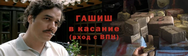 стафф Вязьма