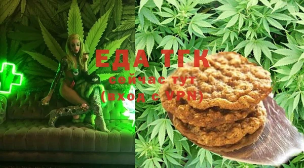 стафф Вязьма
