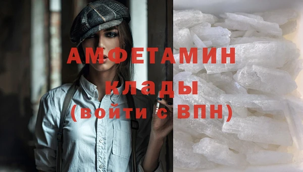 стафф Вязьма