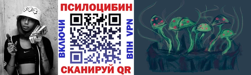 наркотики  Шарья  Псилоцибиновые грибы прущие грибы 